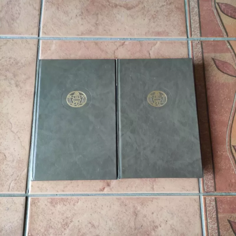 Tuštybės mugė 1-2 tomas - Viljamas Meikpisas Tekerėjus, knyga 4