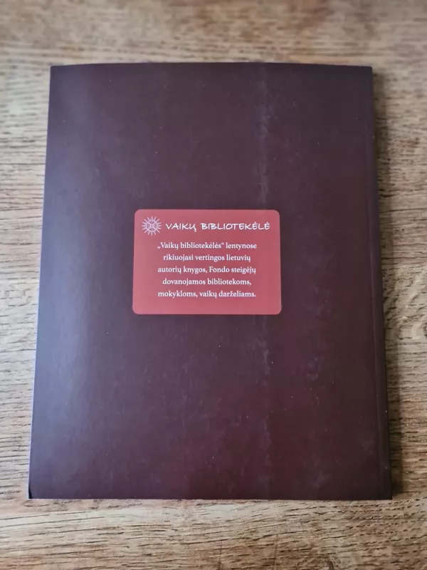 Koncertas turėklui - Ina Ogenskienė, knyga 4