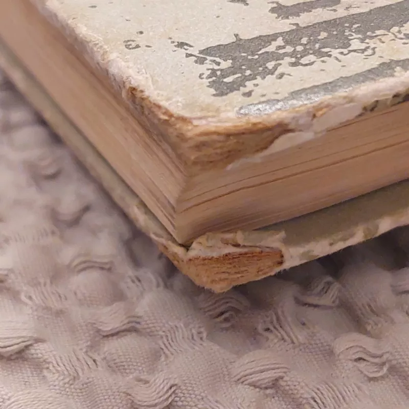 Miško želdinimas - Julius Danusevičius, knyga 3