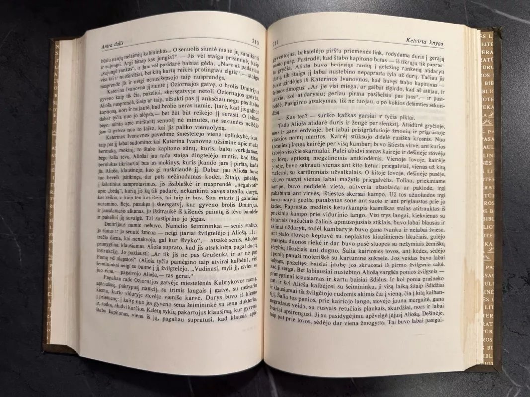 Broliai Karamazovai (I tomas) - Fiodoras Dostojevskis, knyga 6