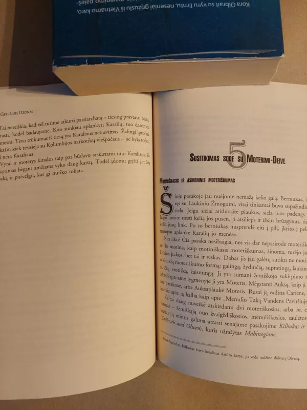 Geležinis Džonas - Robert Bry, knyga 4