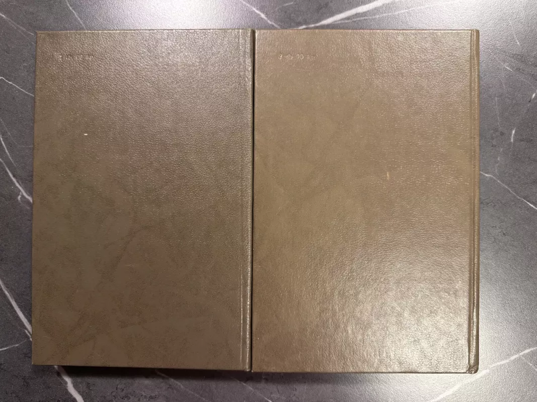 Tuštybės mugė (2 tomai) - Viljamas Meikpisas Tekerėjus, knyga 6