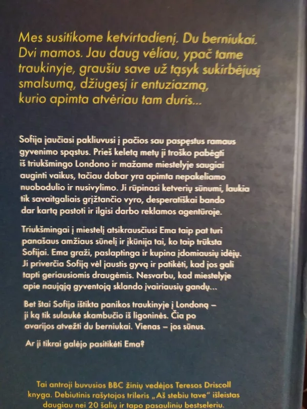 Draugė - Teresa Driscoll, knyga 3