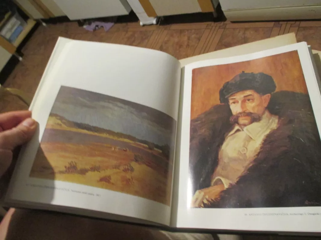 Lietuvos tapyba - Pranas Gudynas, knyga 6