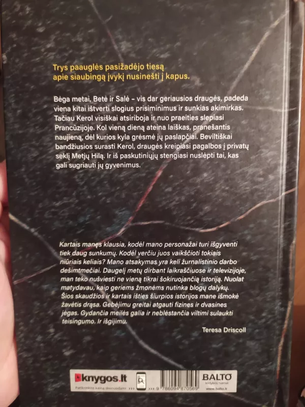 Pažadas - Damon Galgut, knyga 3