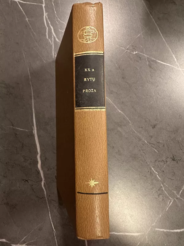 XX a. rytų proza - Autorių Kolektyvas, knyga 2