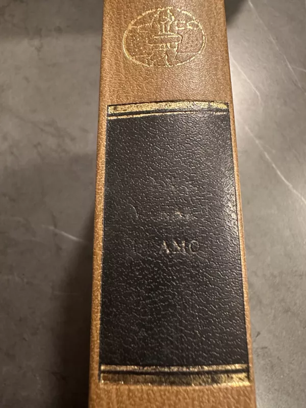 XX a. Vakarų dramos - Autorių Kolektyvas, knyga 3