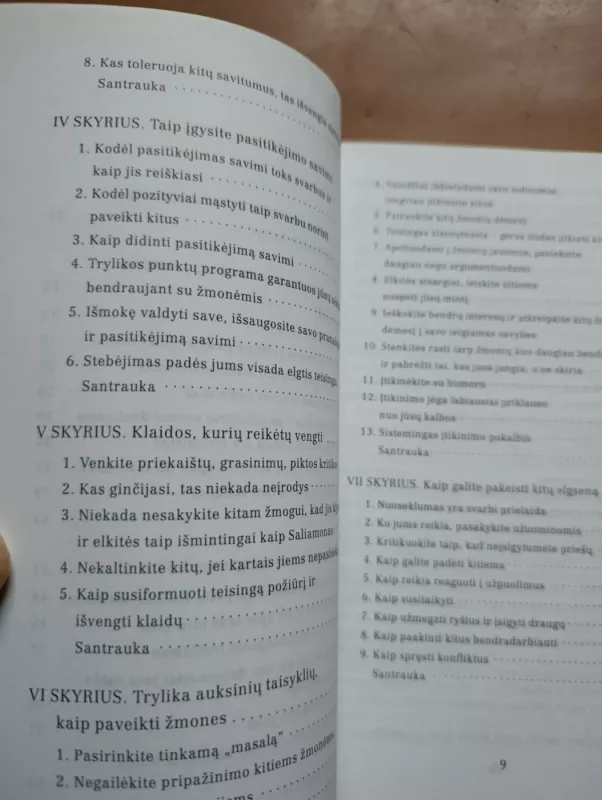 Menas įtikinti - Heinz Ryborz, knyga 5