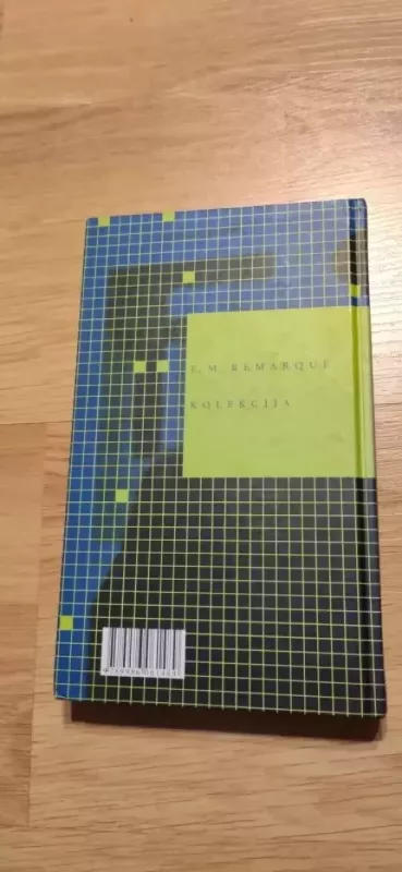 Dangus neturi išrinktųjų - Erich Maria Remarque, knyga 3