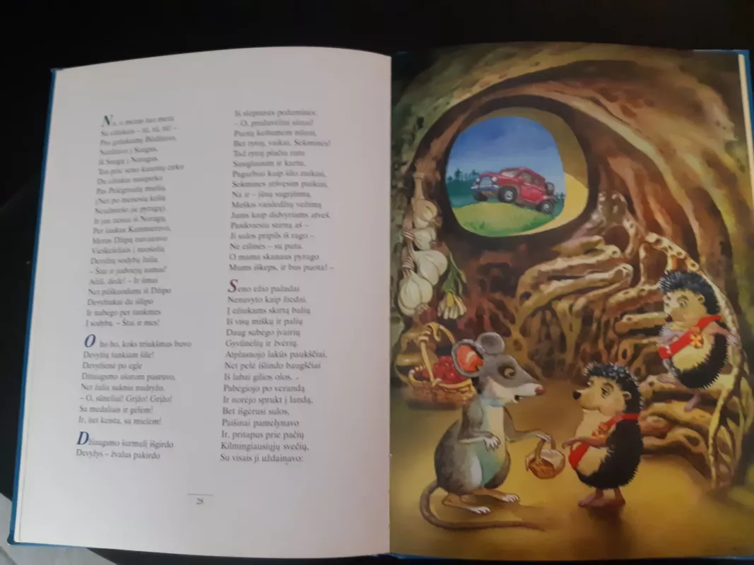 Ežiukai devyžiukai - Martynas Vainilaitis, knyga 5