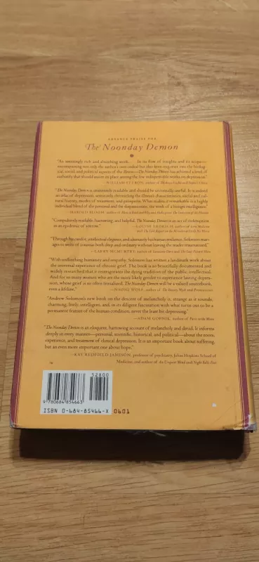 The Noonday Demon: An Atlas of Depression - Andrew Solomon, knyga 3
