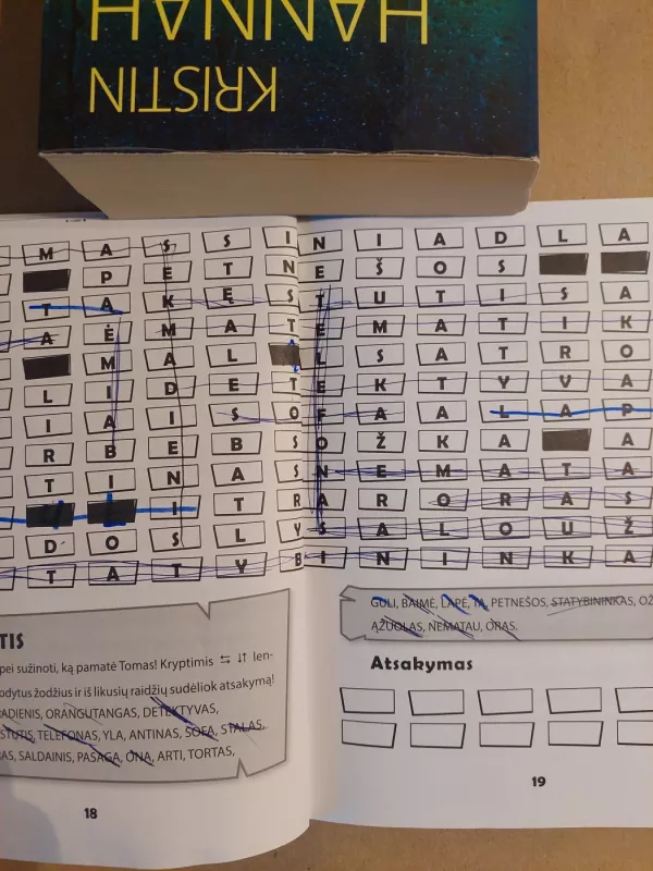 Domas ir Tomas. Saldainių kiosko byla. Detektyviniai galvosūkiai - Tomas Dirgėla, knyga 5