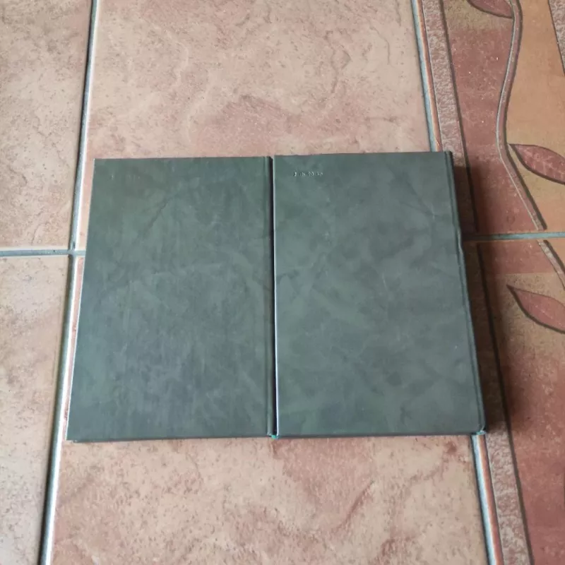 Tuštybės mugė 1-2 tomas - Viljamas Meikpisas Tekerėjus, knyga 5