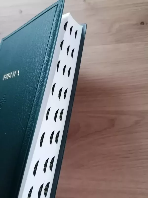 Biblija šventasis raštas - Naujasis testamentas (GBV) - Autorių Kolektyvas, knyga 5