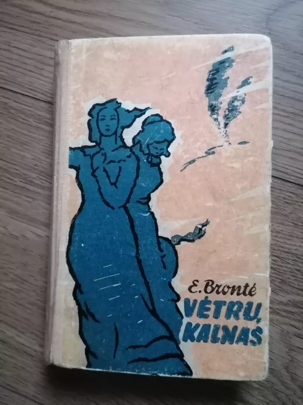 Vėtrų kalnas - Bronte Emily, knyga 2