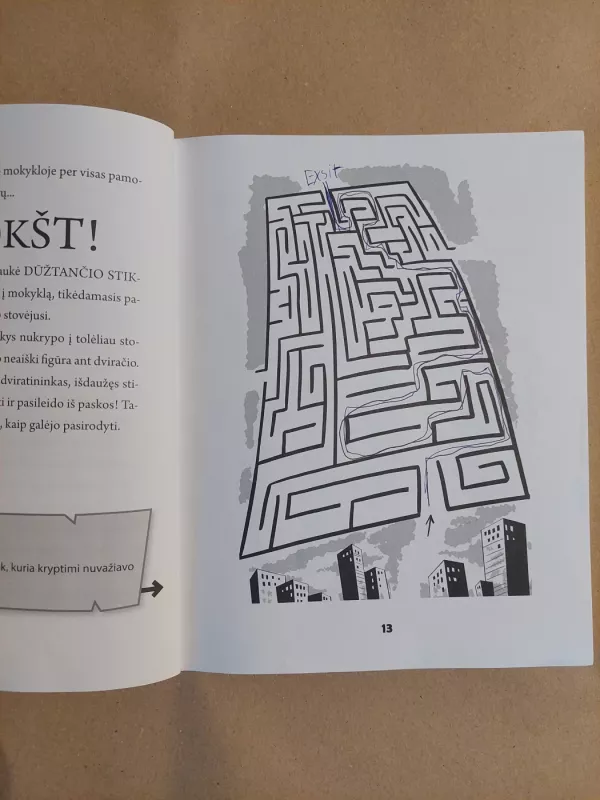 Domas ir Tomas. Saldainių kiosko byla. Detektyviniai galvosūkiai - Tomas Dirgėla, knyga 4