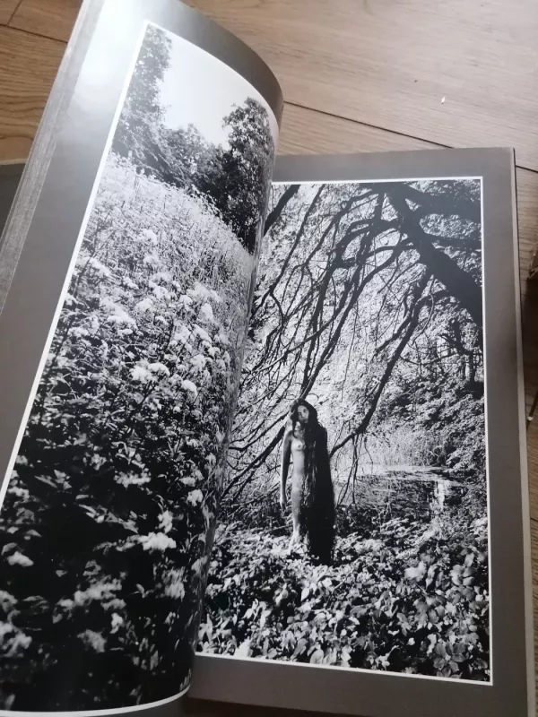 Žiedai tarp žiedų - Rimantas Dichavičius, knyga 6