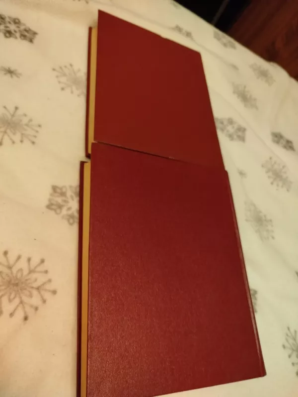 Don Kichotas (I-II dalys) - Migelis de Servatesas, knyga 6