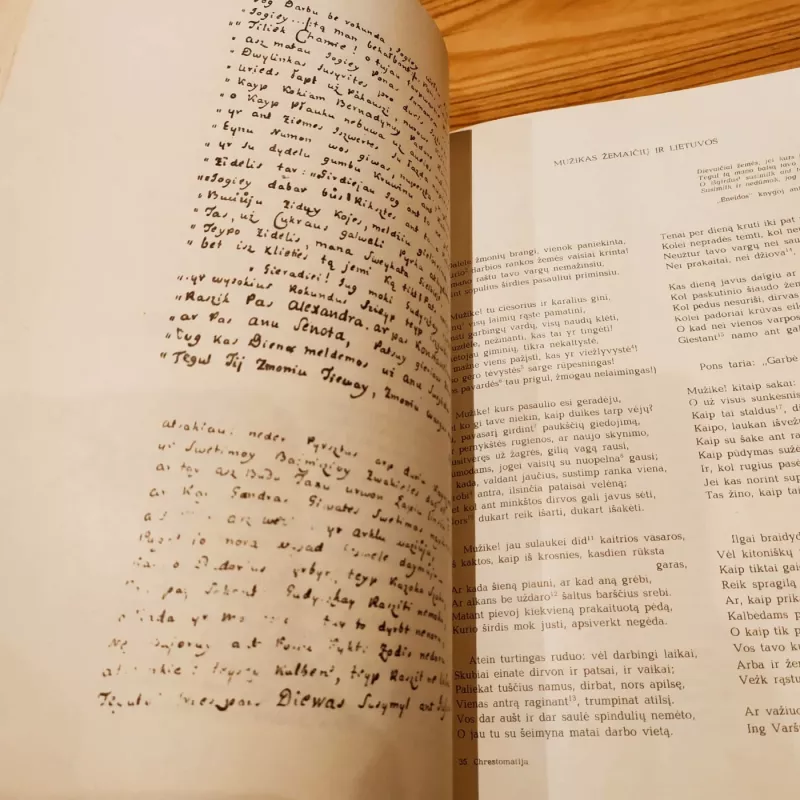 Lietuvių literatūros istorijos chrestomatija. Feodalizmo epocha - Autorių Kolektyvas, knyga 5