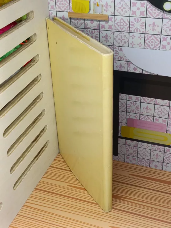 M.K. Čiurlionis - J. Gaudrimas, A.  Savickas, knyga 5