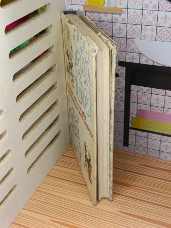 Roterdamietis Erazmas Pagiriamasis žodis Kvailybei - Erazmas Roterdamietis, knyga 3