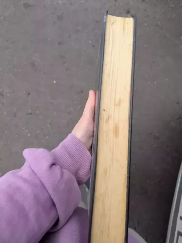 Beveik visada - J.A. Redmerski, knyga 4