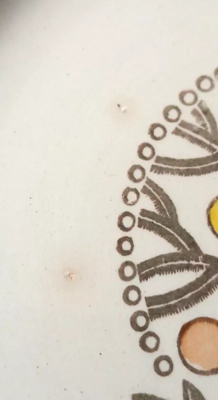 Lėkštės, 23cm, 5vnt, Budi - , namai ir interjeras 5