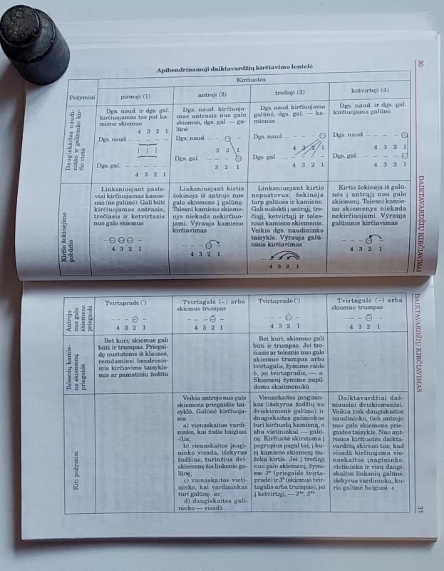 Lietuvių kalba 10. Mokomoji knyga - Adelė Laigonaitė, Zigmas Zinkevičius , knyga 6