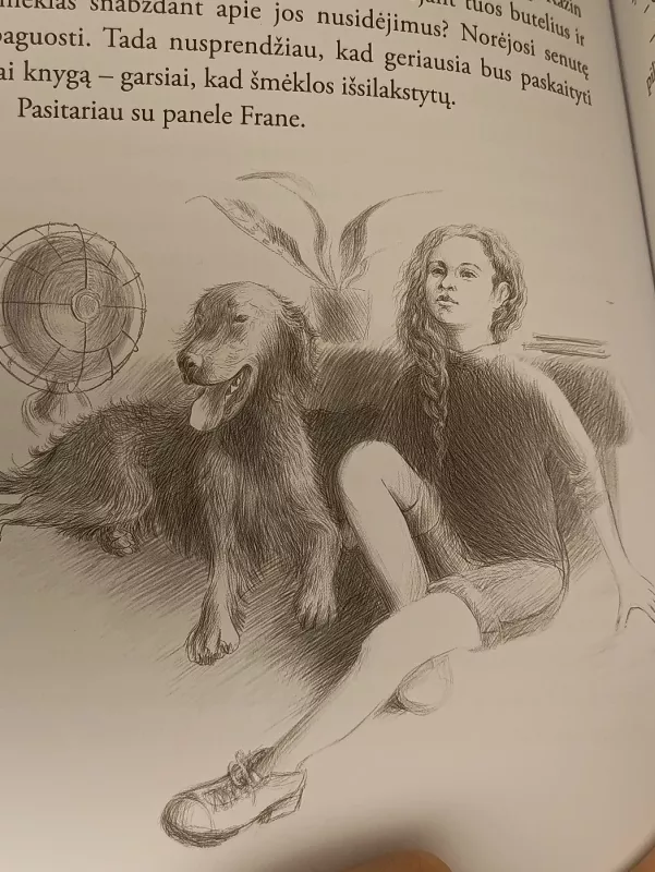 Jei ne Vinis Diksis - Kate DiCamillo, knyga 4