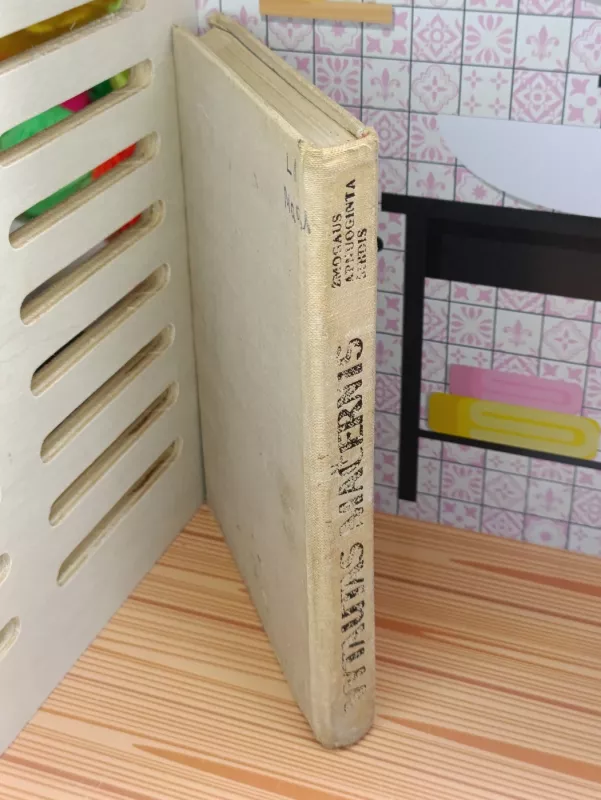 Žmogaus apnuoginta širdis - Vytautas Mačernis, knyga 4