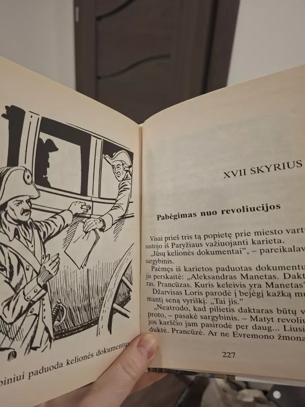 Pasakojimas apie du miestus. Iliustruota didžioji klasika - Dikensas, knyga 4