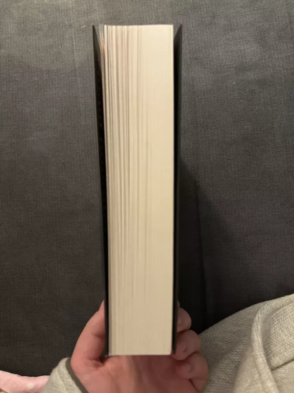 Mėgdžiotojas - Sam Holland, knyga 3