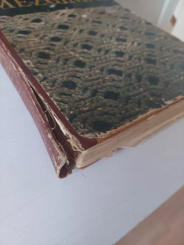 Mezgimas - K. Žirgulienė, knyga 3