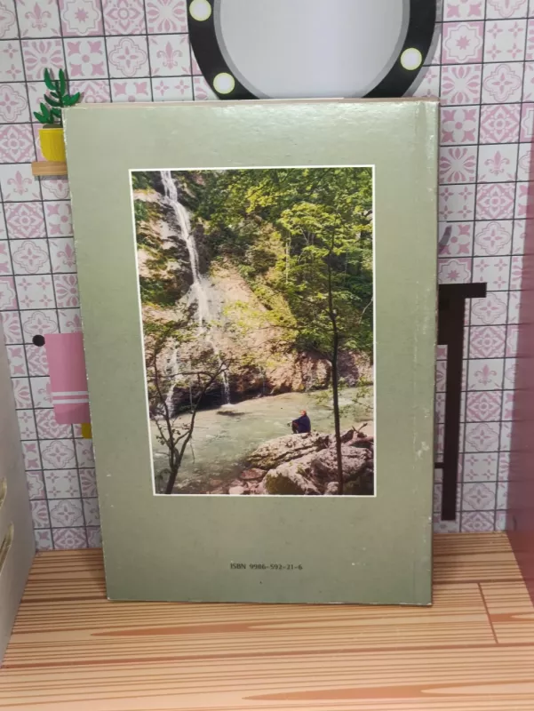 Skubėkime daryti gera - Nijolė Sadūnaitė, knyga 3