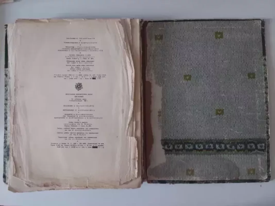 Mezgimas - K. Žirgulienė, knyga 5