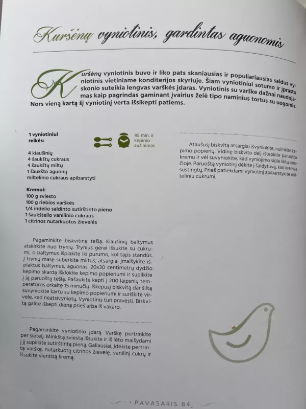 Nostalgiški skanumynai - Renata Ničajienė, knyga 6