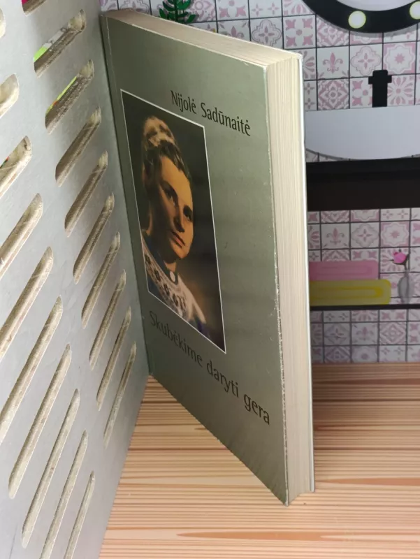 Skubėkime daryti gera - Nijolė Sadūnaitė, knyga 4