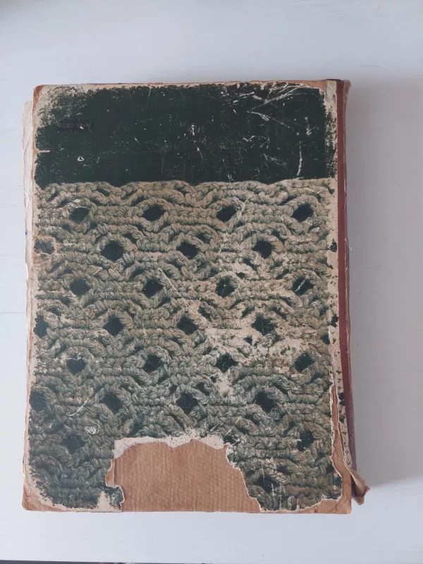 Mezgimas - K. Žirgulienė, knyga 4