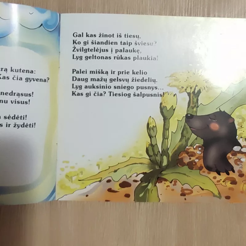 Katpedeles - Birutė Lenktytė-Masiliauskienė, knyga 4