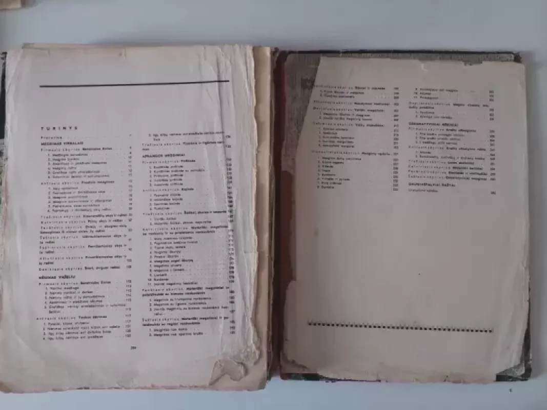 Mezgimas - K. Žirgulienė, knyga 6