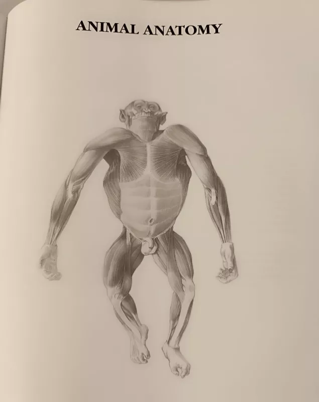 Anatomy drawing school - Detlev SChaper, knyga 4