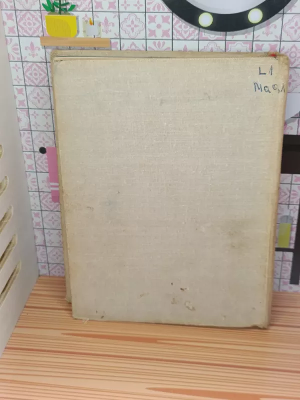 Žmogaus apnuoginta širdis - Vytautas Mačernis, knyga 3