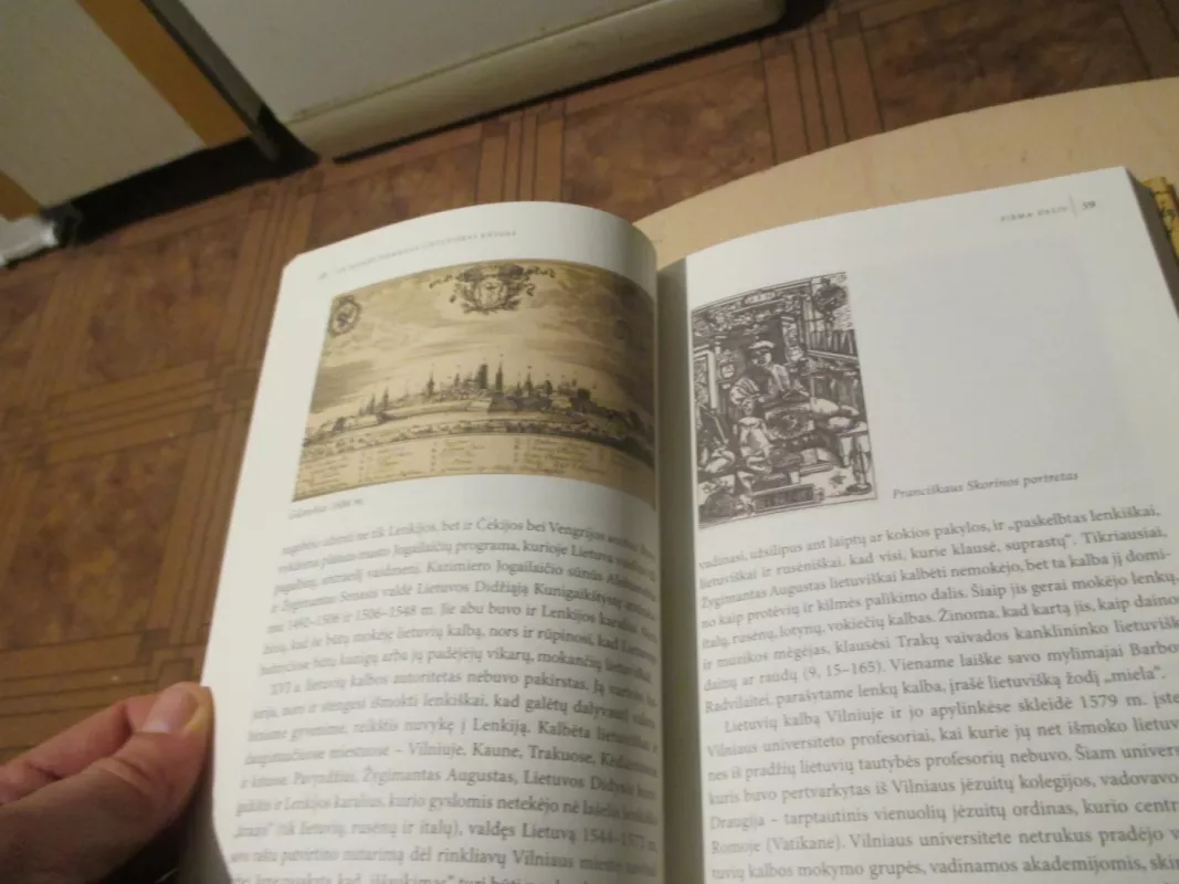 Jie parašė pirmąsias lietuviškas knygas - Albinas Jovaišas, knyga 4