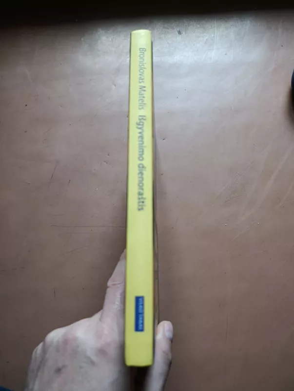 Išgyvenimo dienoraštis - Bronislovas Martinėnas, knyga 3