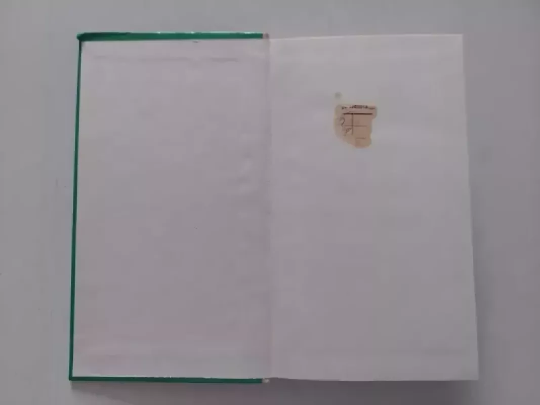 Komentarai - Donaldas Kajokas, knyga 4