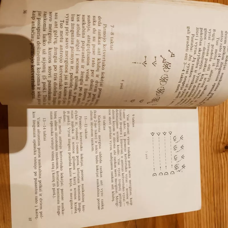 Greitpolkė - J. Lingys, knyga 5