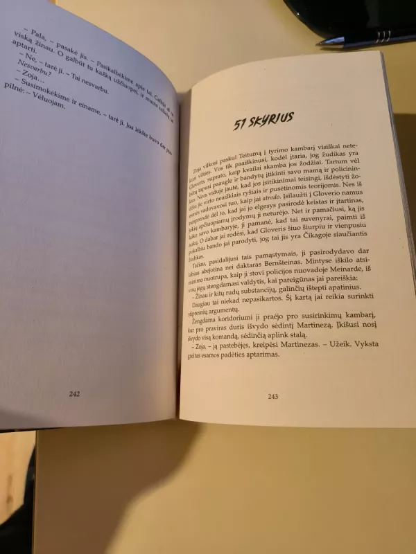 Žudiko kailyje - Mike Omer, knyga 4