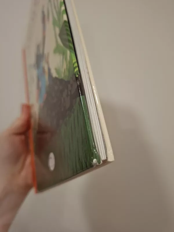 KAIP KURMIS KOMBINEZONĄ ĮSITAISĖ - E. Petiška, knyga 3