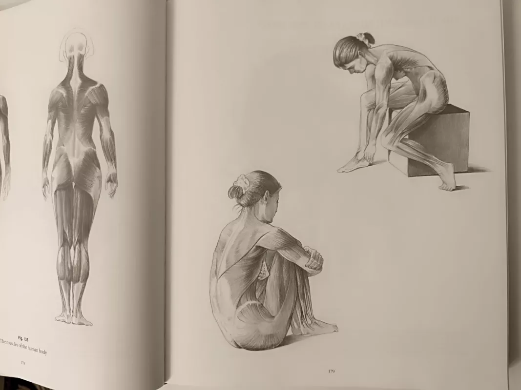 Anatomy drawing school - Detlev SChaper, knyga 3