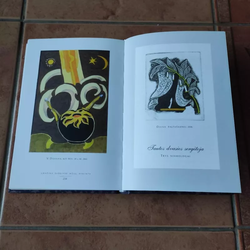 Gražina Didelytė mūsų atminty - Vygandas Čaplikas, knyga 5